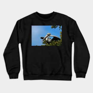 The Pelican Crewneck Sweatshirt